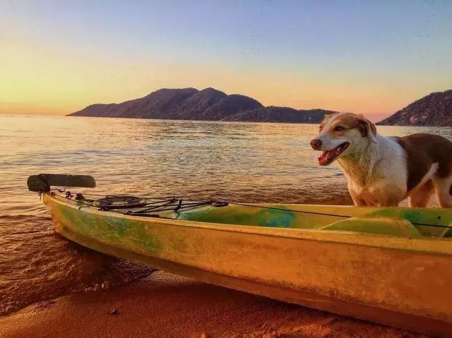 生肖蛇的婚姻运势,属蛇人的婚姻更佳配偶