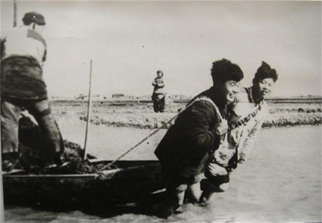 属龙是几年的有多大了，属龙的几年多大