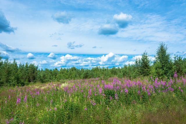 属鼠的女人花心吗，属鼠的天秤座男生专一吗