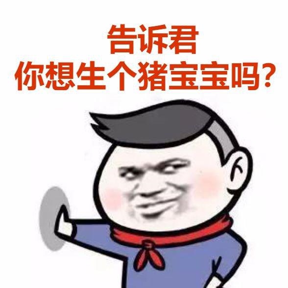 猪年犯冲的属相，2022 年属猪和什么相冲