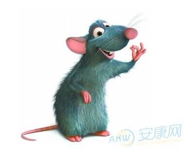 八四年属鼠的是什么命女，1988年属龙的是什么命