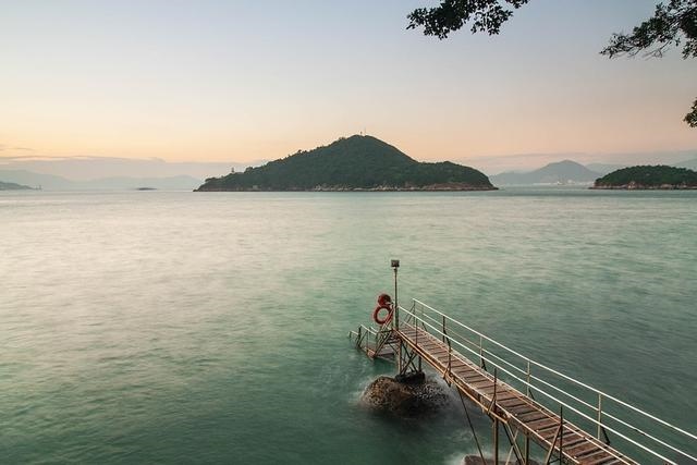 属猴女适合做什么生意，属猴的人干什么最挣钱