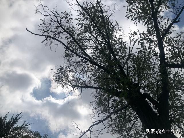 975年属兔穷到什么时候,1975年属兔2022