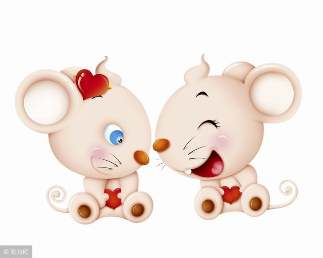 属鼠和属鼠的婚配财运好吗，鼠年属鼠人的运势如何