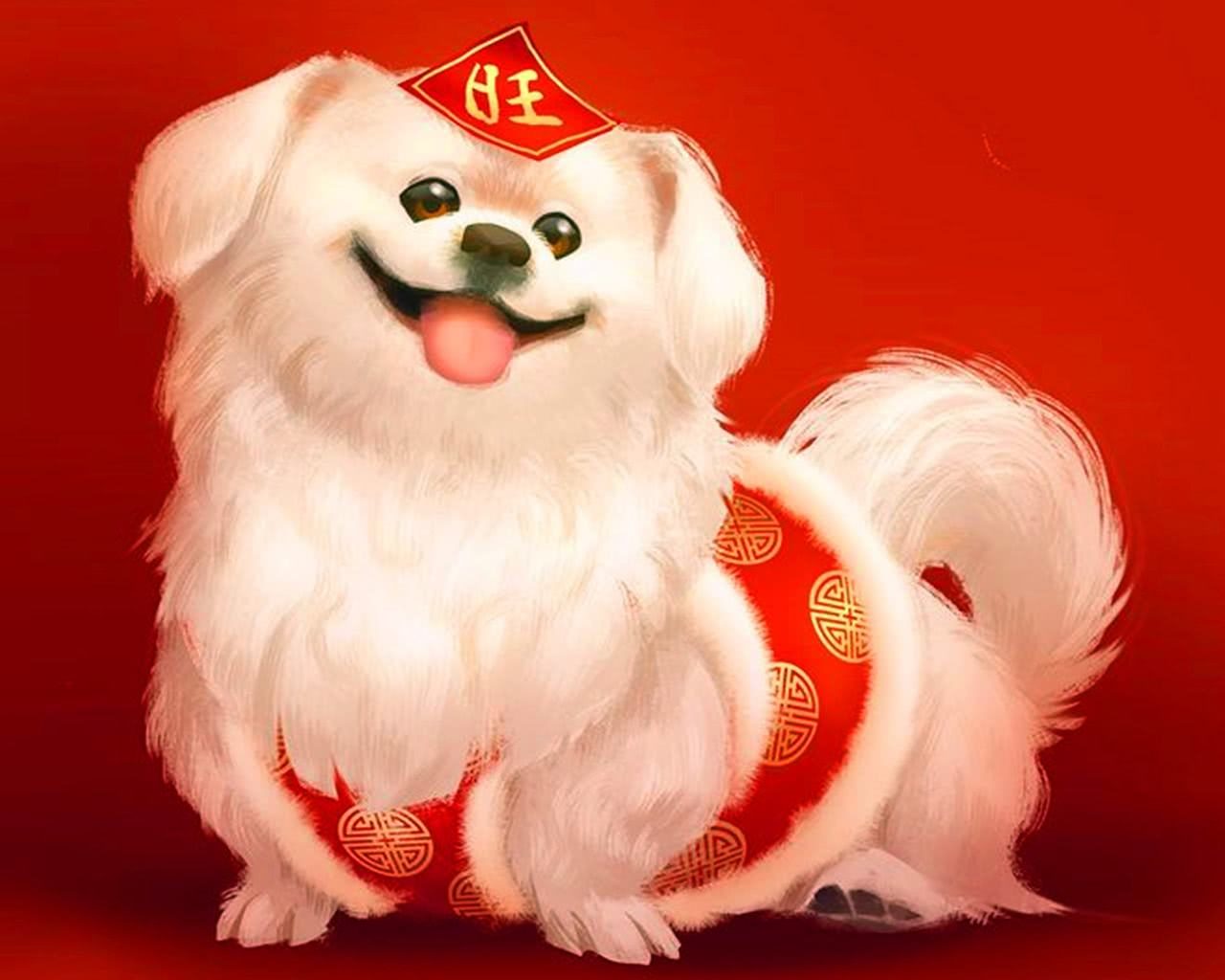 老公属兔老婆属牛配对好吗,2022年老公属兔老婆属牛几月结婚