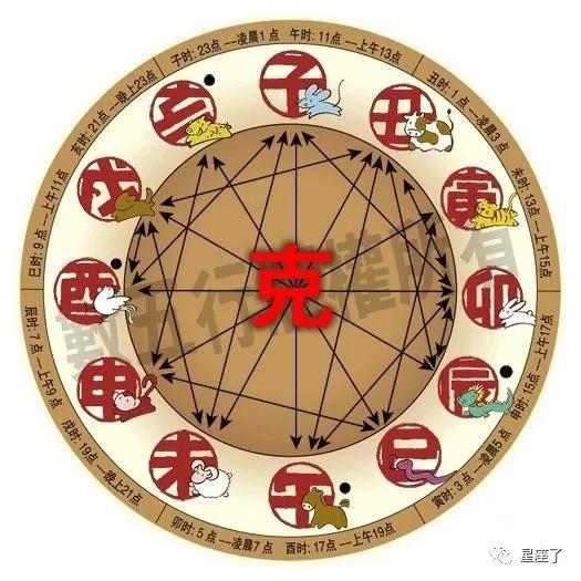 虎与蛇婚姻是否相配，男蛇女龙婚姻是否相配