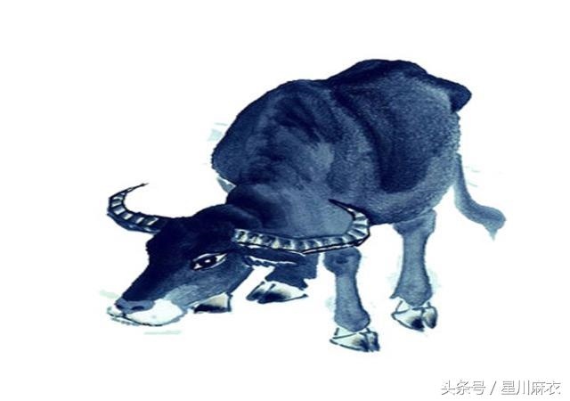 6年属鼠男性格脾气怎么样，96年属鼠男性格特点及脾气"