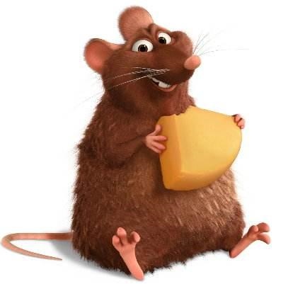 属鼠的特点性格，生肖鼠的女生很独特