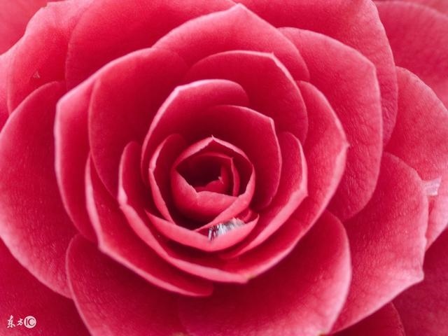 属鼠一生的贵人啥叫文昌贵人，属鼠的贵人是什么属相