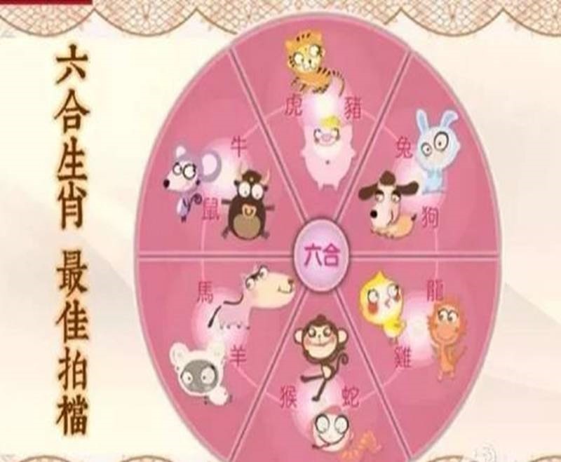 属鼠阴历6月出生的人好不好，2022 年哪个月份出生的宝宝更好