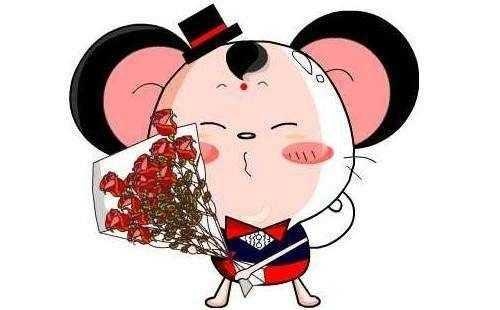 生肖鼠的运势如何,属鼠人一生的运势