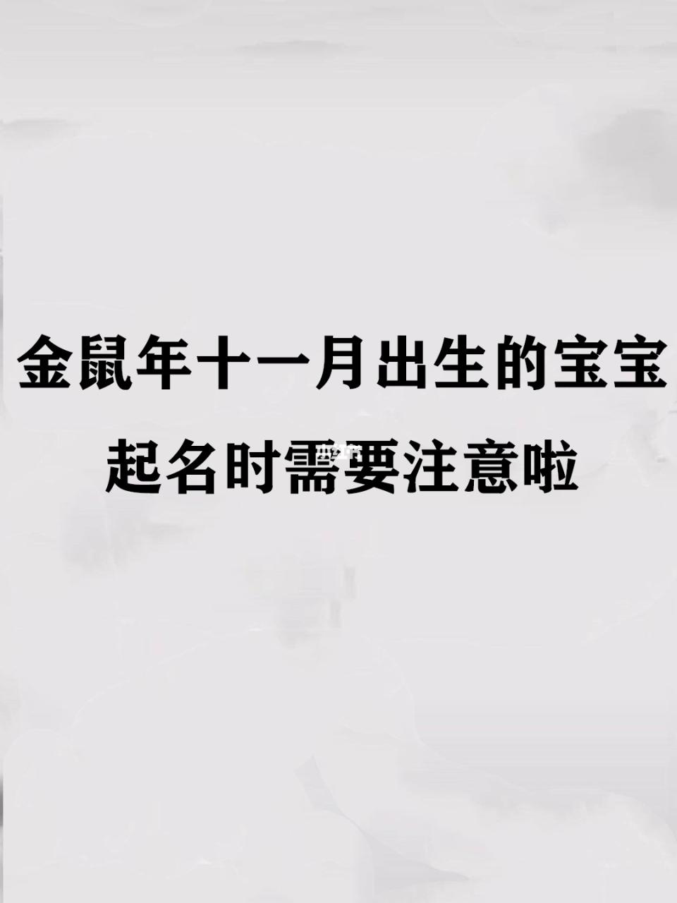 十一月的鼠是什么命,农历11月的老鼠是什么命