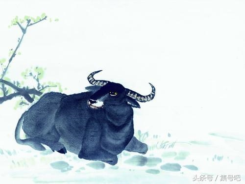 属鼠人的吉祥数是多少，属鼠人的幸运数字是多少