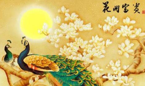 4年女鼠一生的运势，84年属鼠37岁能躲过这灾难吗"