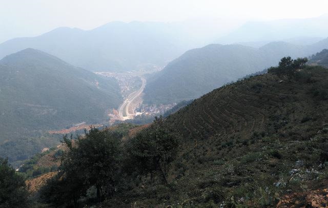 984年出生女是什么命，1984年出生的鼠是什么命"