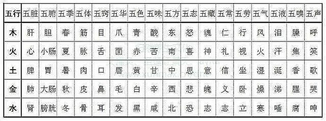 十二地支金木水火土属性，十二地支五行属性方位