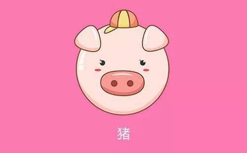 属兔命中注定的情人，属兔的找属什么的情人好