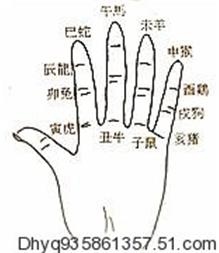 十二生肖六冲三合表大全，十二生肖相合表