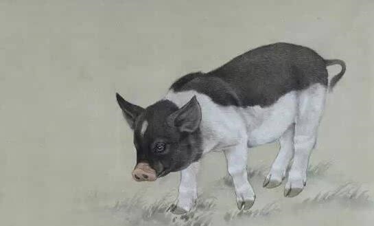 3年属猪大海水命适合饰品，1983年大海水命缺金"