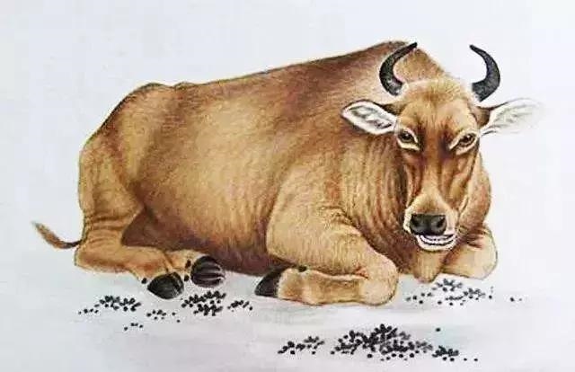 4年鼠女适合做什么生意，84年属鼠人做哪种生意最旺"