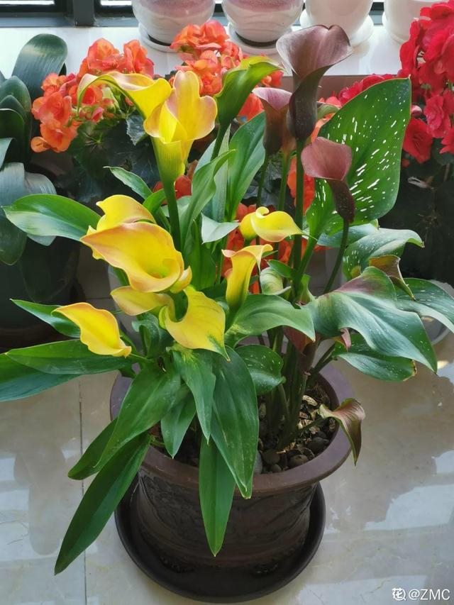 2年属鼠女的微信头像，1972年女微信头像用什么好"