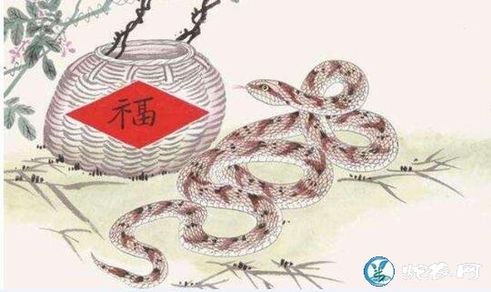 属蛇的婚姻状况，属蛇女今年的运势2022