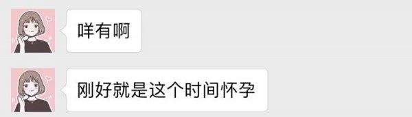 猪年犯冲的属相，2022 年属猪和什么相冲