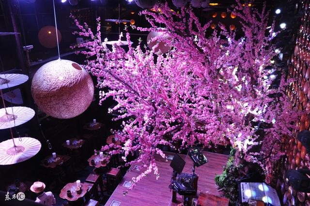 鼠人2022年运势运程,2022年运势12生肖运势详解