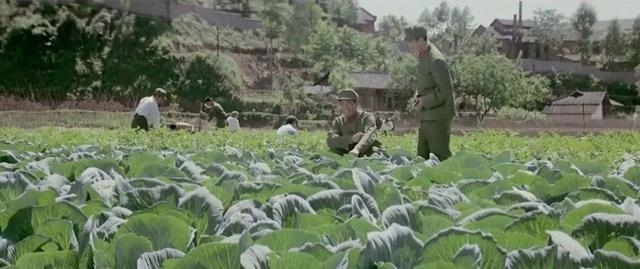 968年属猴临终寿命多大,2022年属猴终于转运了"