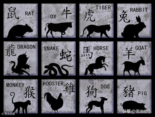 属兔的和属猴的婚姻，生肖兔和猴能在一起吗