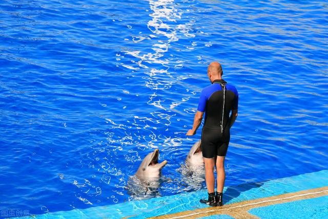 男鼠女兔其实很好，男84鼠女87兔姻缘