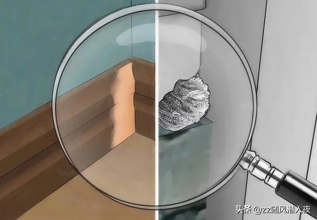 什么东西驱赶老鼠最有效的 *** ，老鼠咬了需要打疫苗吗