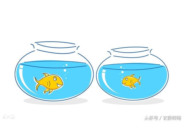 兔与蛇婚配合适吗，蛇盘兔必须是男蛇