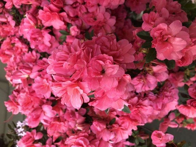 7兔男和93鸡女谁克谁，鸡兔结婚后来都怎么样了"