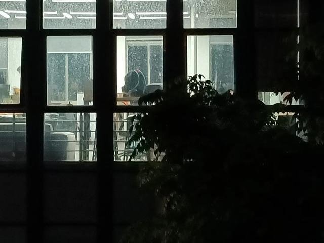 999兔和2000龙好不好，龙害兔还是兔害龙"