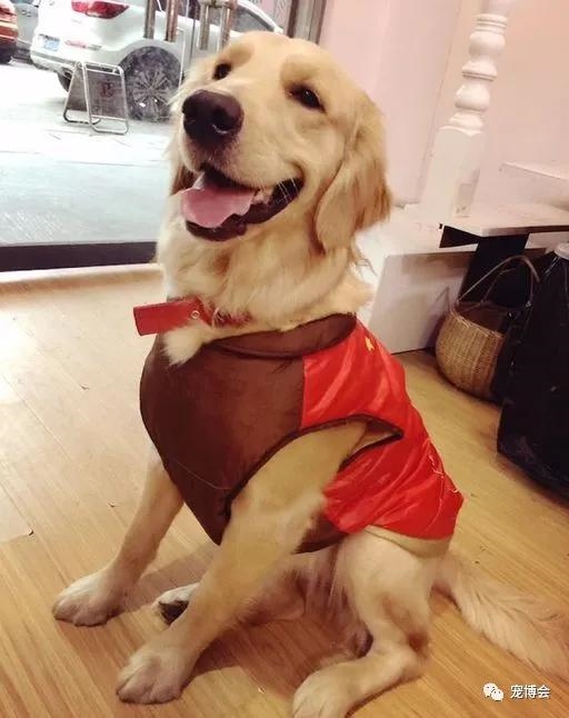 兔子可以跟人一起睡吗，兔子喜欢和主人一起睡