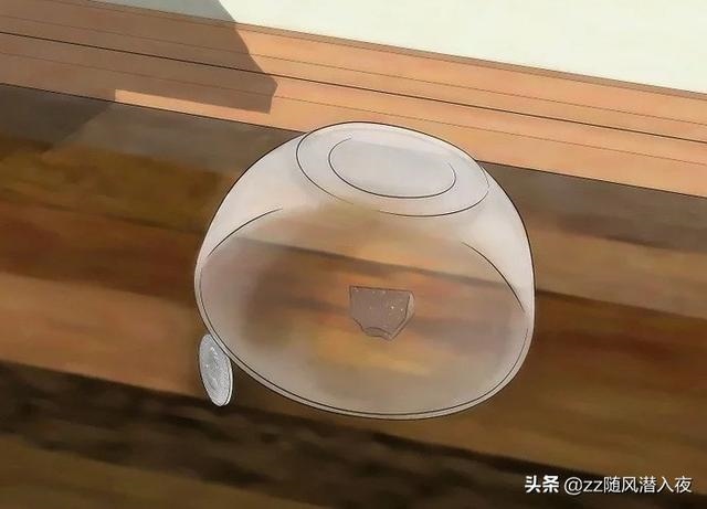 什么东西驱赶老鼠最有效的 *** ，老鼠咬了需要打疫苗吗