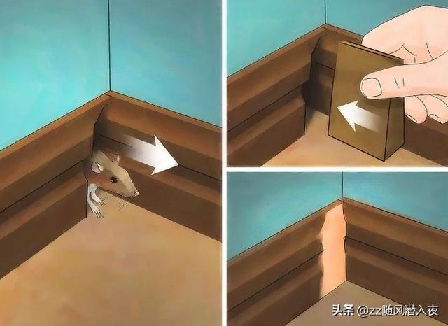 什么东西驱赶老鼠最有效的 *** ，老鼠咬了需要打疫苗吗