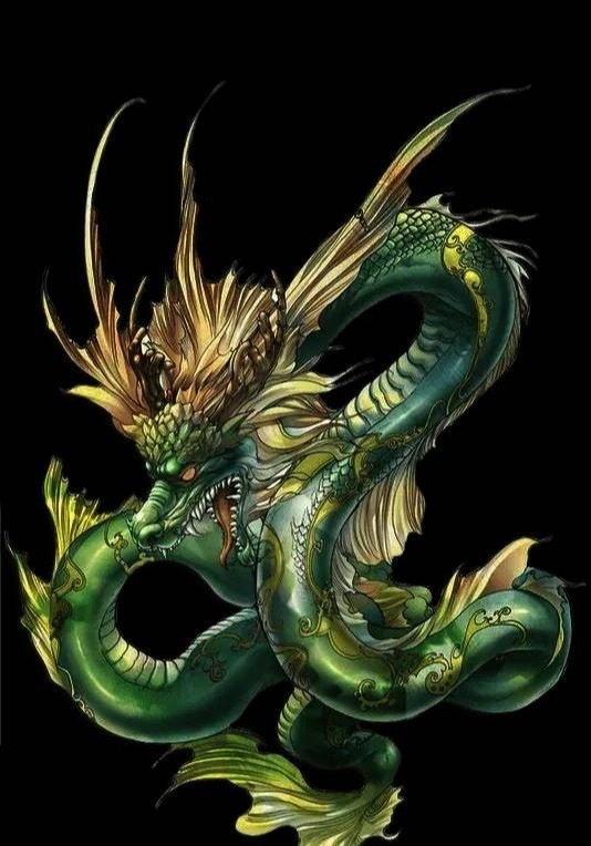 属龙是哪一年出生的人,2000属龙的男孩什么命