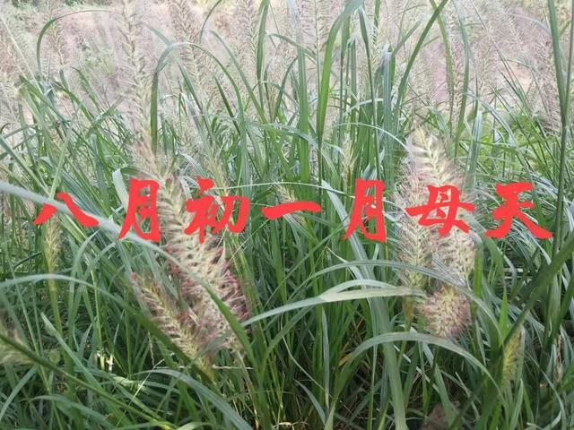 女孩出生农历什么日子好，女孩阴历九月哪天出生好