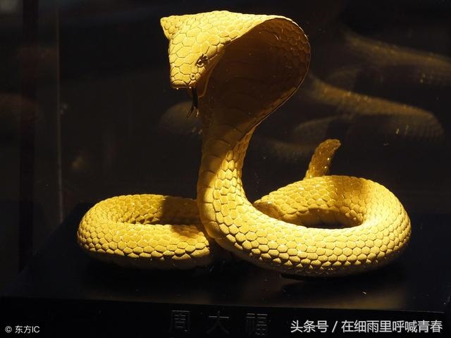 几日出生的命里带财库，名字免费测分打分