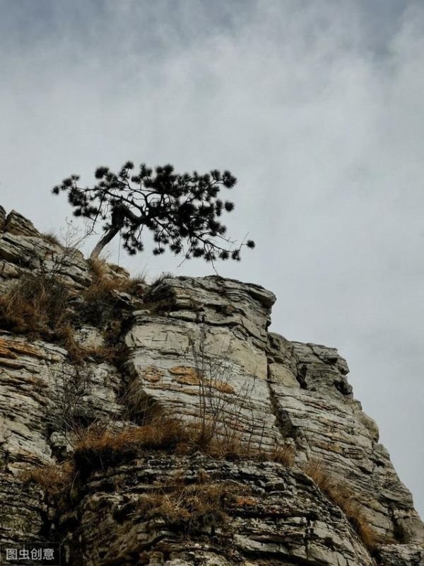 五行相生五行相克表，五行为什么相克
