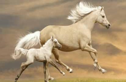 4年的属鼠37岁后命好，1984属鼠38岁后有十年大运"