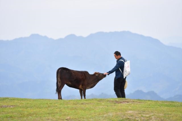 0后属牛是哪一年的，90后属兔是哪一年"