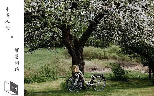 鸡和兔到底谁克谁呀，87兔跟93鸡