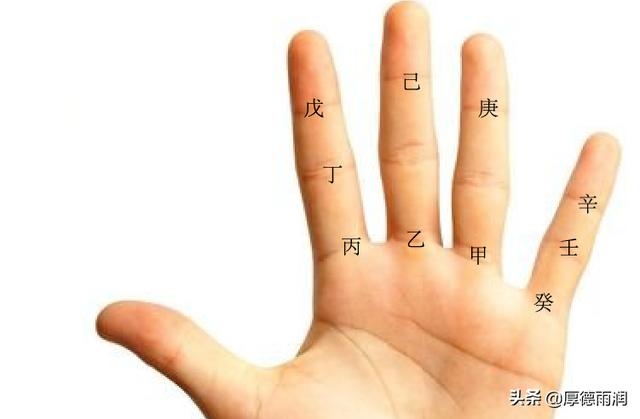 天干地支背诵口诀24个字，八字天干地支详解