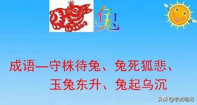 查一下十二生肖，十二生肖的故事