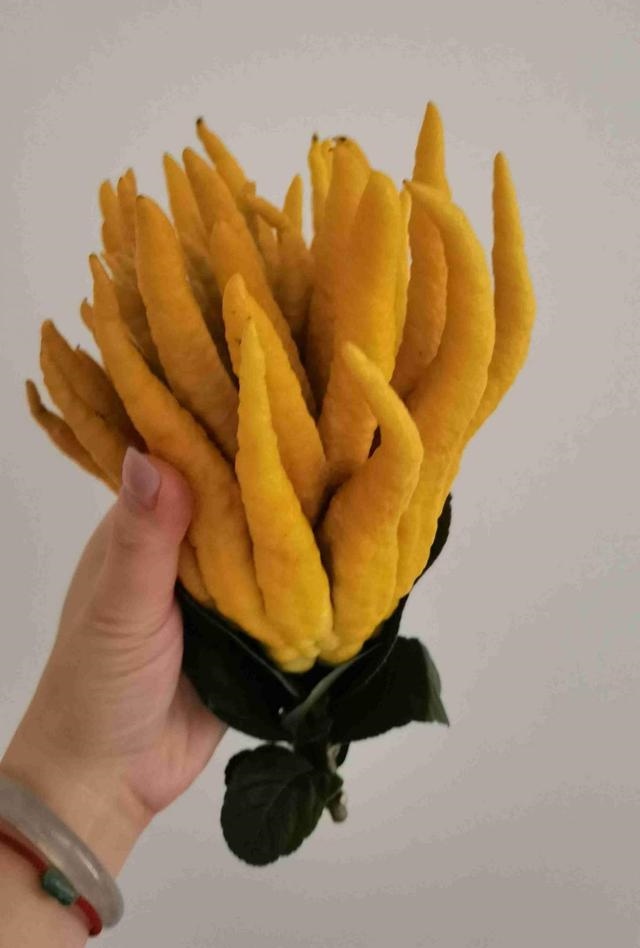 7兔男和93鸡女谁克谁，鸡兔结婚后来都怎么样了"