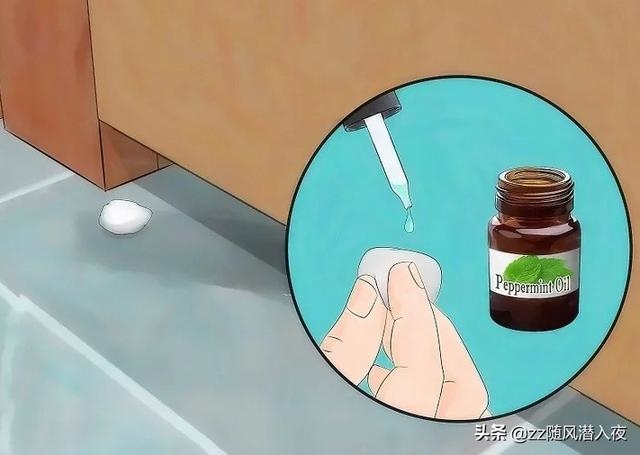 什么东西驱赶老鼠最有效的 *** ，老鼠咬了需要打疫苗吗