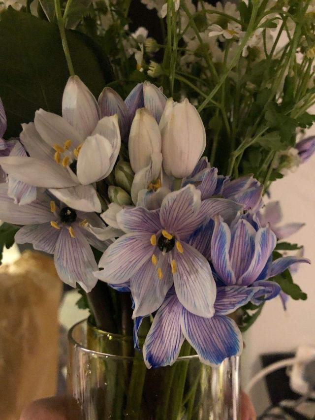 7兔男和93鸡女谁克谁，鸡兔结婚后来都怎么样了"